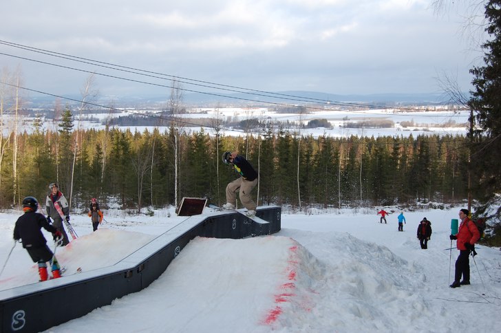 Cab 270 Fs Boardslide Bs 270. Foto: Sandra Anåker. Åkare: Martin Österberg.