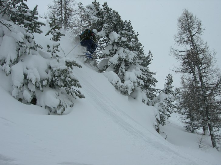 En fin dag i drömskogen. Foto: Lyngen Mattias. Åkare: Magnus Kron.