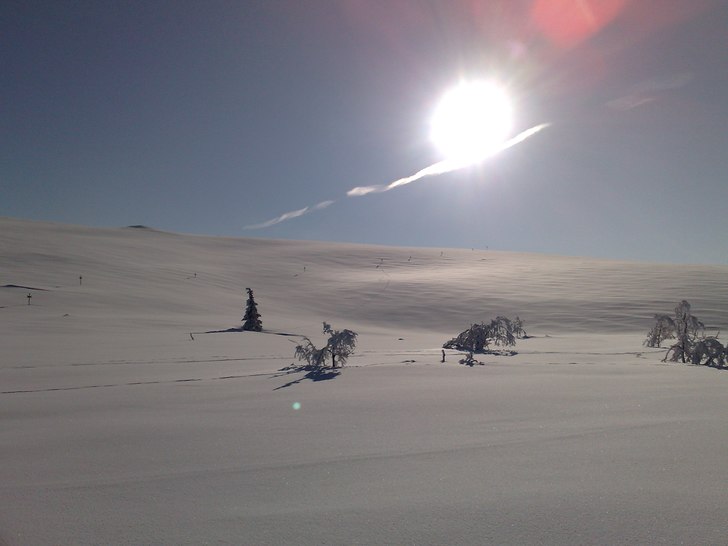 Foto: Alina Bergmark.