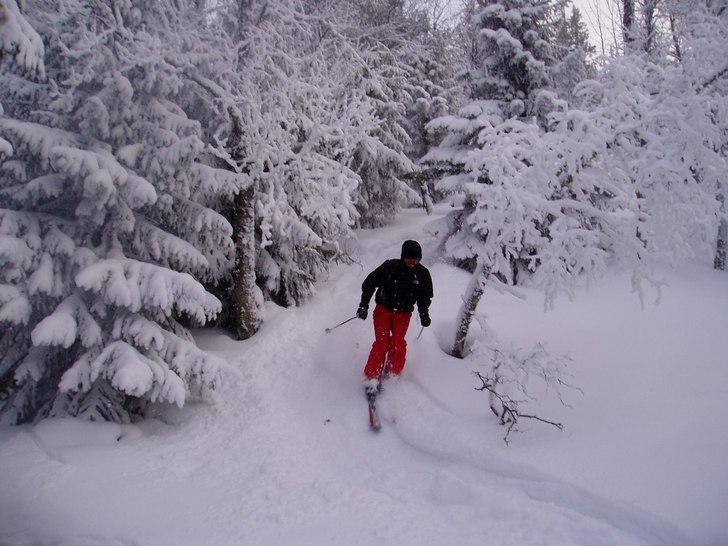 Ja å brossan tog en tur ut i skogen i 3dm nyfalle. Foto: Elias Carlsson. Åkare: Jacob Carlsson.