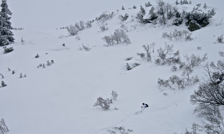 Foto: Felix Grunert. Åkare: Patrik Hammarlund/Rikard Lindblad.