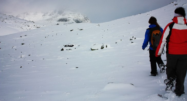 på väg mot typ vesslenup. Foto: jag.