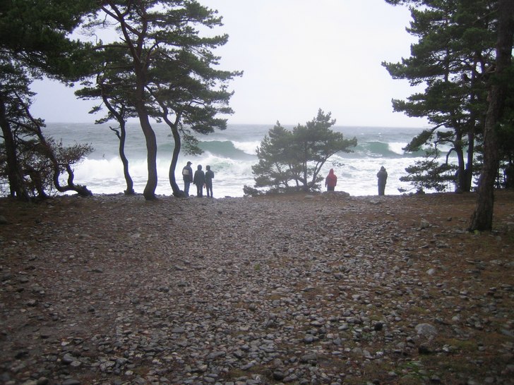 När det inte går att åka skidor i januari så k. Foto: Jakob Rejdemo. Åkare: Unknown Torö surfers.