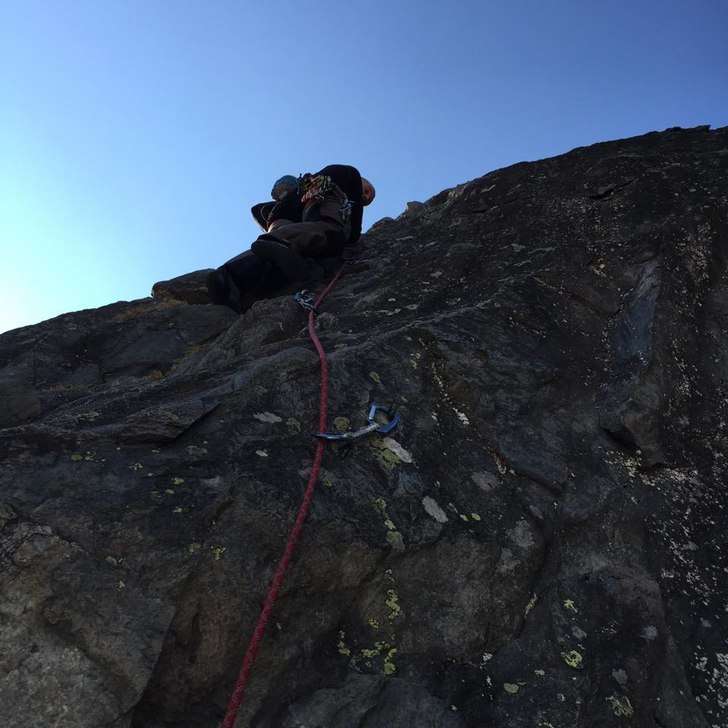 gailland multipitch.