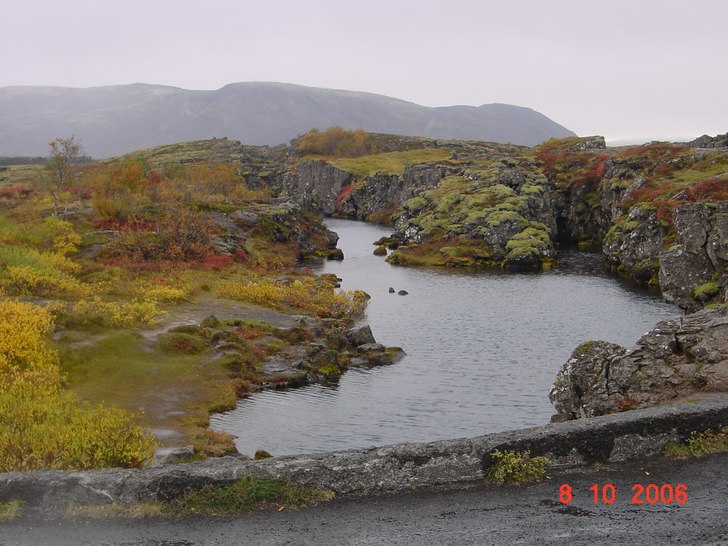 Foto: Camilla bergadhl.