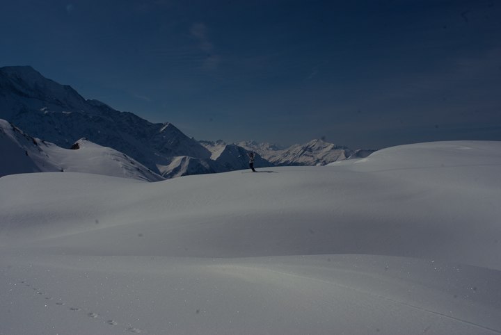 Foto: Albin Oskarsson. Åkare: Jonte.
