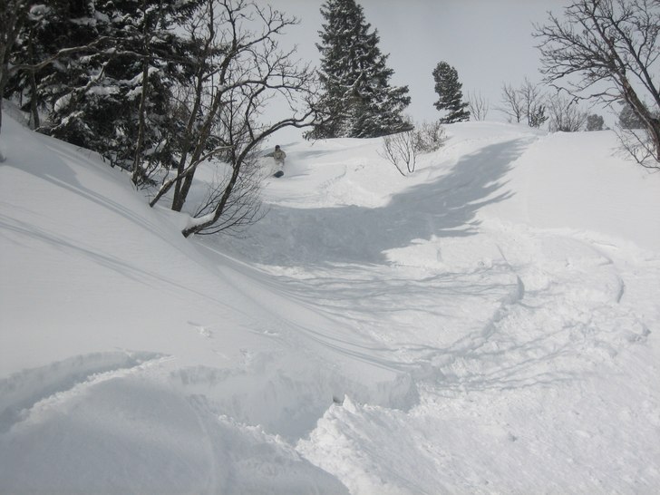 Foto: Tobias Rydberg. Åkare: Marcus Jarlö.