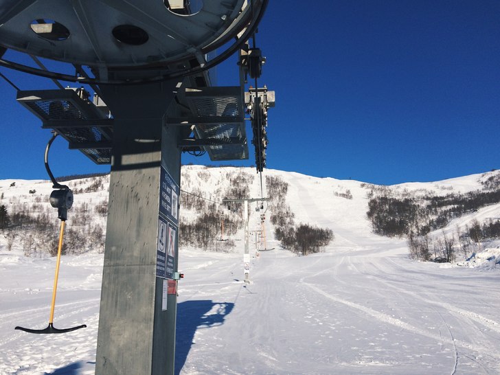 Blue bird
Sola skinner, gradestokken viser -7, sn�.