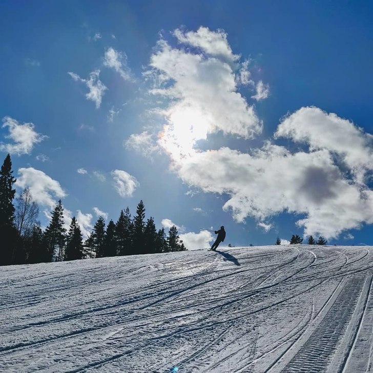 På Instagram skrev jag 23 mars 2019 "Årets .