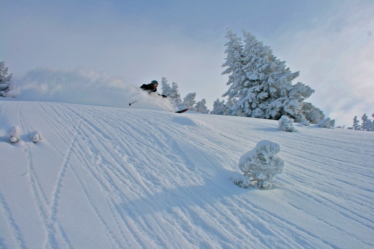 Foto: Felix Grunert. Åkare: Rikard Lindblad.