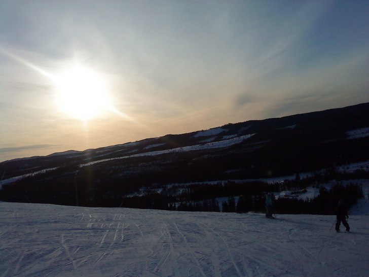Åter igen en dålig bild med en mobilkamra.
Natu. Foto: Axel Hellström.