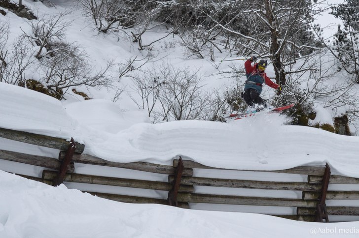Hoppar lavinstängsel i skogen. Foto: Christoffer Aabol. Åkare: Matthias Karthäuser.