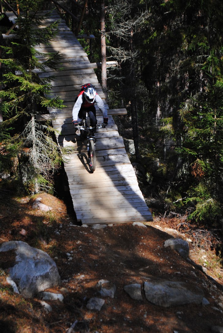 Foto: Janne Storfält. Åkare: Stojje.