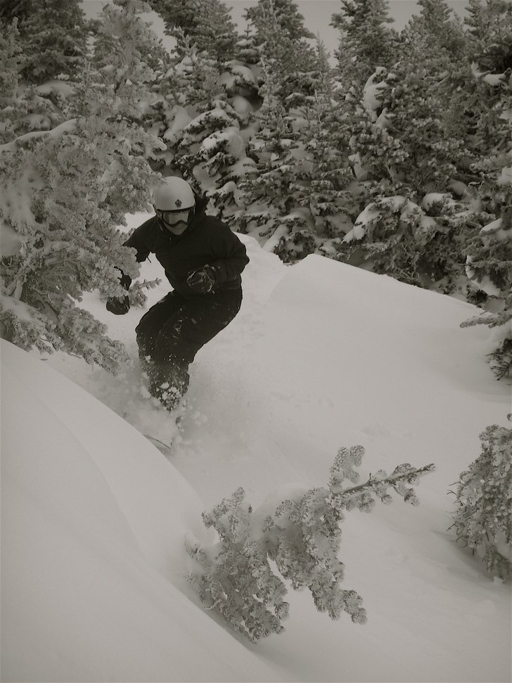 Foto: Emil Engman. Åkare: Louise Rydén.