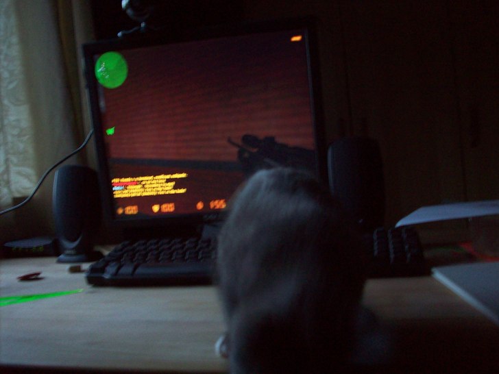 Cs katten. Foto: Jag. Åkare: Nova.