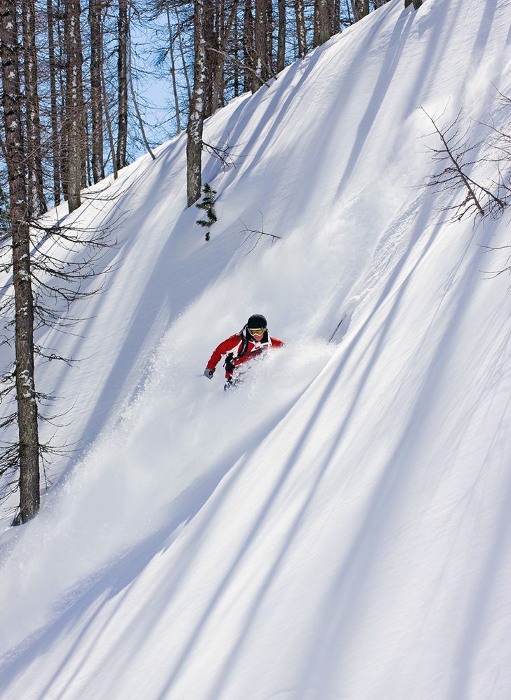 Såg en klänta i skogen på väg ner och tog en b. Foto: Magnus Olsson. Åkare: Frasier.