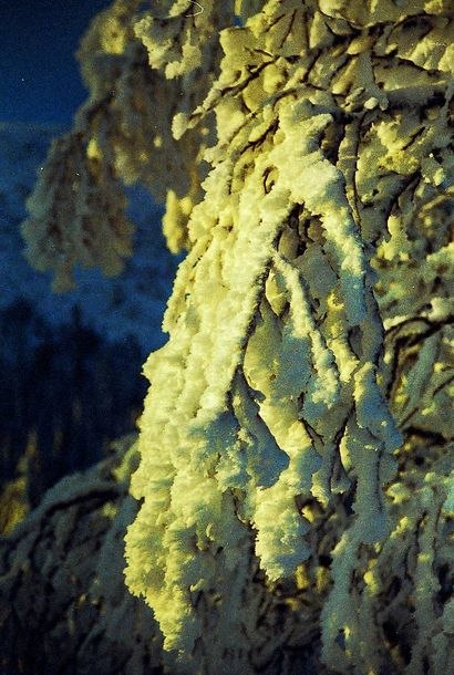 None. Foto: The Mike. Åkare: Vemdalen.