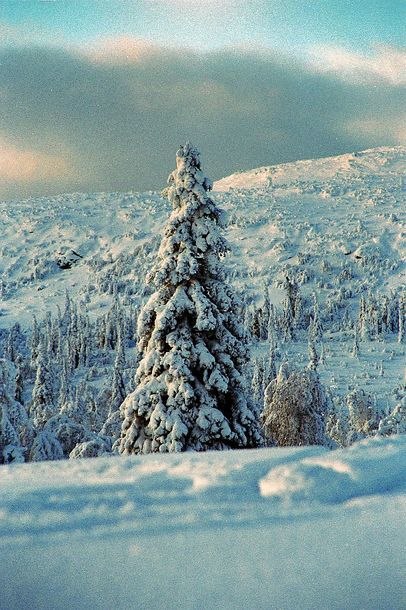 None. Foto: The Mike. Åkare: Vemdalen.