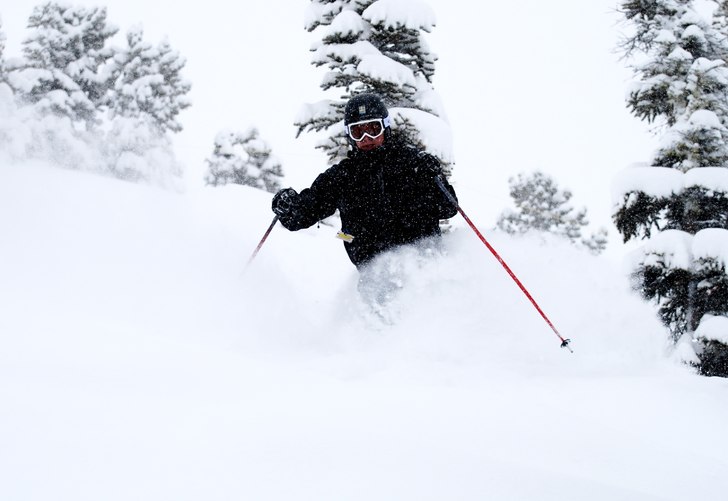 Foto: Jonas Ottosson. Åkare: Bosse.