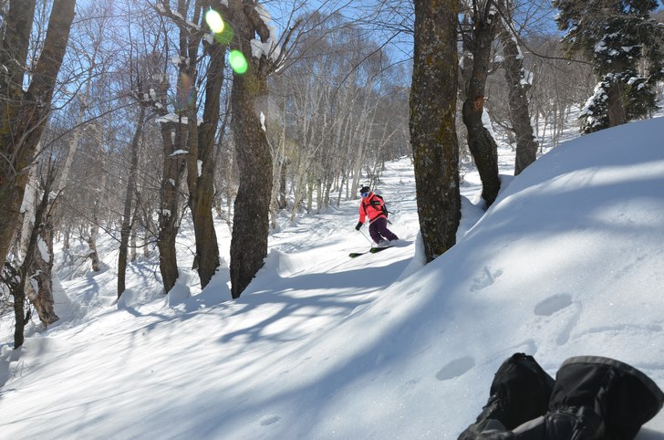 Lite offpist/skogsåkning i Papperwoods som de bes. Foto: Mats Vestin. Åkare: Felicia Vestin.