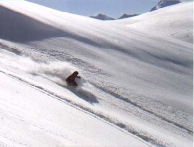 Foto: Henrik Johnsson. Åkare: Magnus Färm.