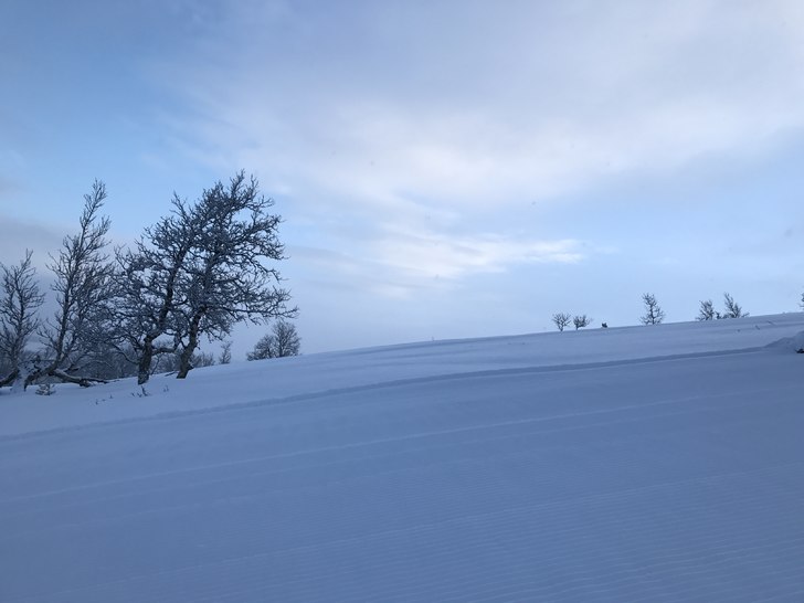 8 cm med herlig nysnø og -5.
Fine forhold idag me.