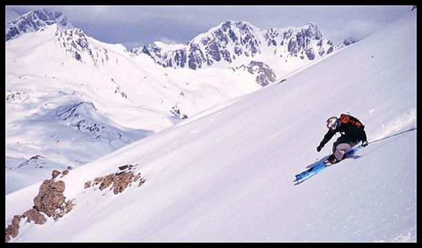 Foto: Hawk. Åkare: ElPerro.