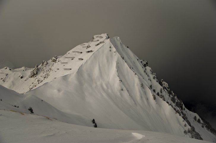 That face.
Foto: Rikard Landrin. Foto: Rikard Landrin.