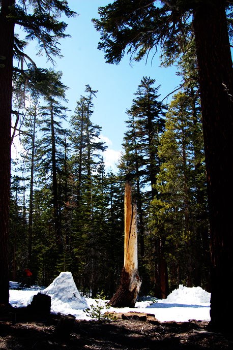 Åkare: One of our tree jibs in California.