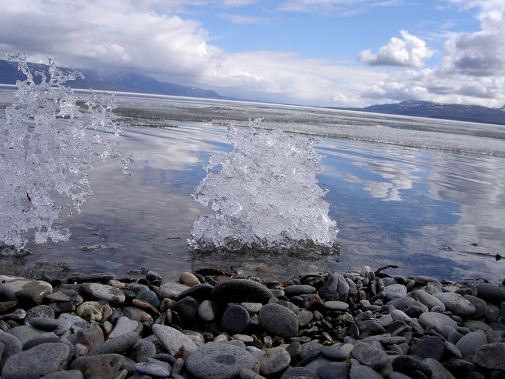 Foto: Julia Nilsson.