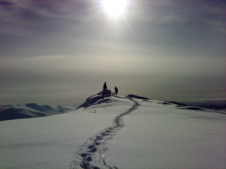 Foto: Andreas Lundgren. Åkare: Fredde å Ludde.