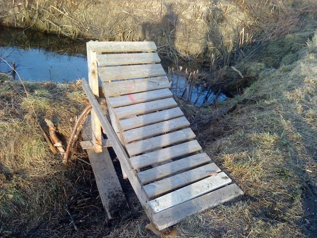 Foto: gögö. Åkare: första hoppet.