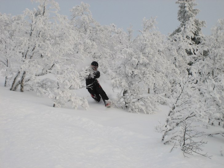 softish. Foto: bagarn. Åkare: niklas.