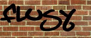 my name ffs. Foto: hamsterpaj.net. Åkare: moi.