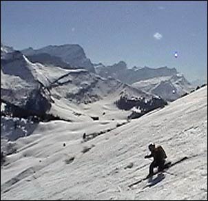 Skön sorbé. Foto: Patrik Josefsson. Åkare: Jörgen Jonasson.