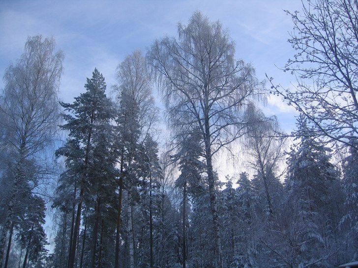 Foto: Alexander Ovinder.