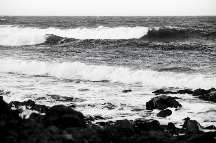 Foto: Jesper Molin. Åkare: Jakob Andersson.