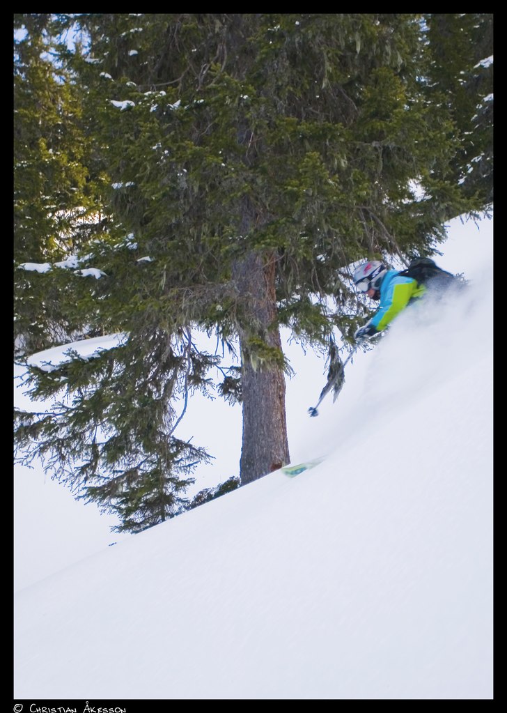 Den skuggiga skogen i Spieljoch.
Här kommer näs. Foto: Christian Åkesson. Åkare: Maria Jönsson.