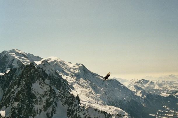 Foto: Peter Axelsson. Åkare: Alpkaja.