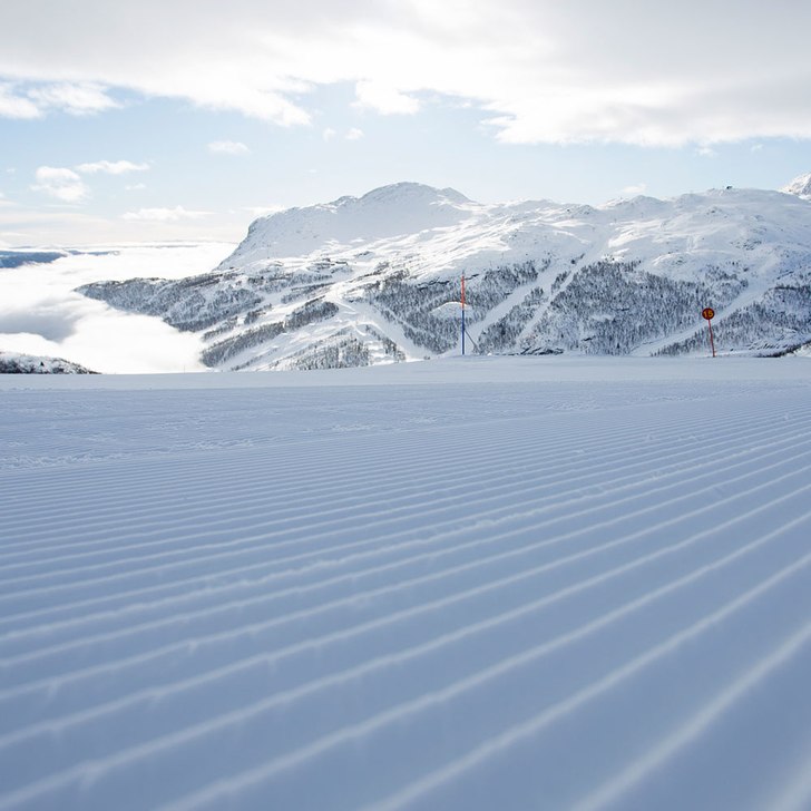 Fin start på uka i Hemsedal
I dag er det 49 skida.