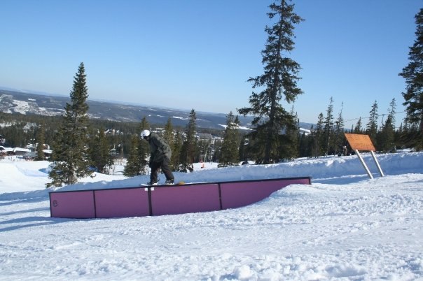 Foto: JENNY. Åkare: Olle.