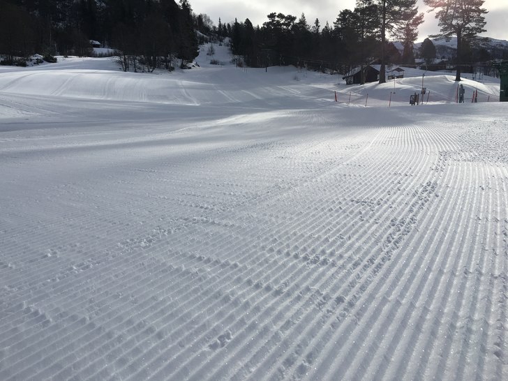 Dagens oppdatering
Påfyll av snø, sol og fin tem.