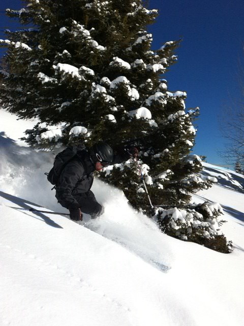 Skogsåkning under TK Derriere Pertuis. Foto: Mathias Andersson. Åkare: Michael Andersson.