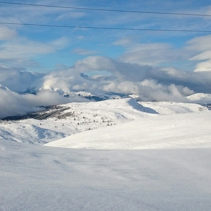 Nysnø!
Det har snødd i heile natt og forhalda er.