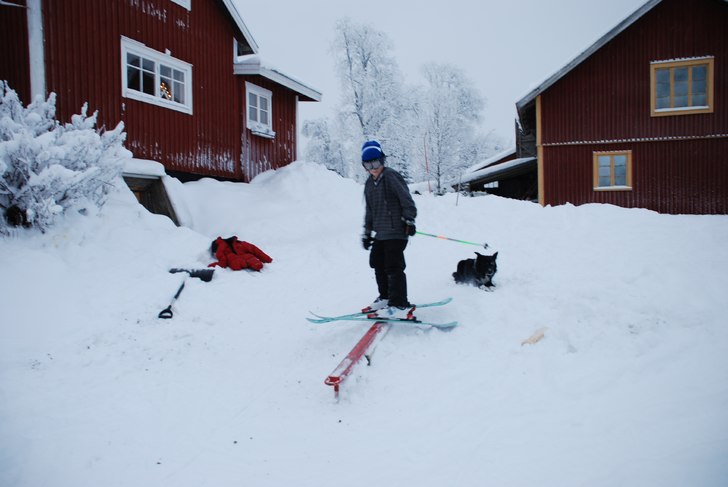 Foto: caroline. Åkare: maximilian.