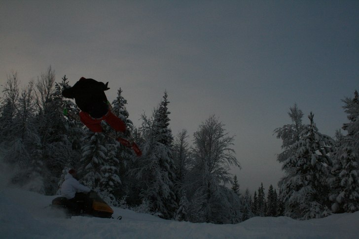 vette fan. Foto: Alexander Larsson. Åkare: Robin Nyzell.