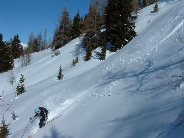 Le Friolin. Foto: Daniel Salomonsson. Åkare: Håkan Karlsson.