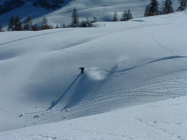 Tete Du Jarset. Foto: Daniel Salomonsson. Åkare: Håkan Karlsson.
