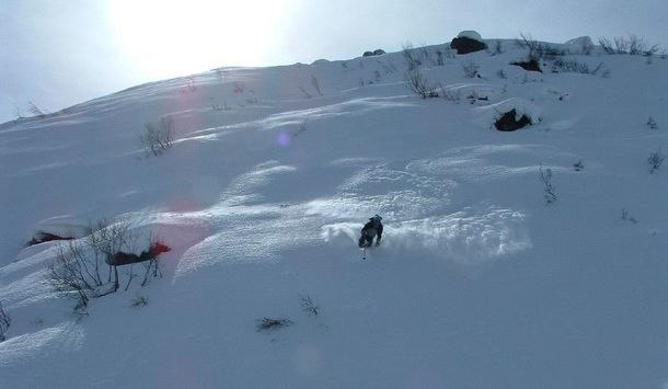 Le Metailler. Foto: Daniel Salomonsson. Åkare: Håkan Karlsson.