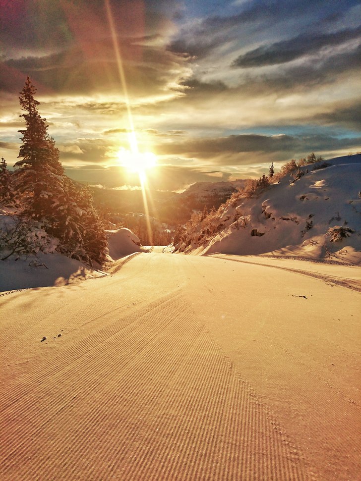Sola har returnert 
Etter litt mildvær tidligere .